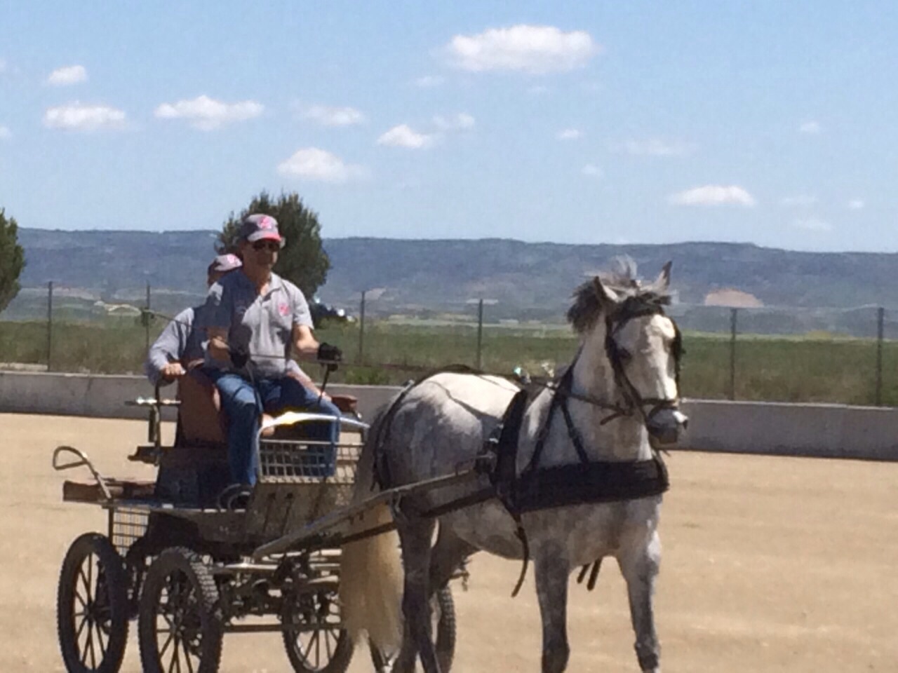 Clínic de actualización y perfeccionamiento en Enganches impartido por Juan Esteve en el Club Hípico La Pinturita de Olite